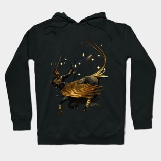 sagittarius Hoodie